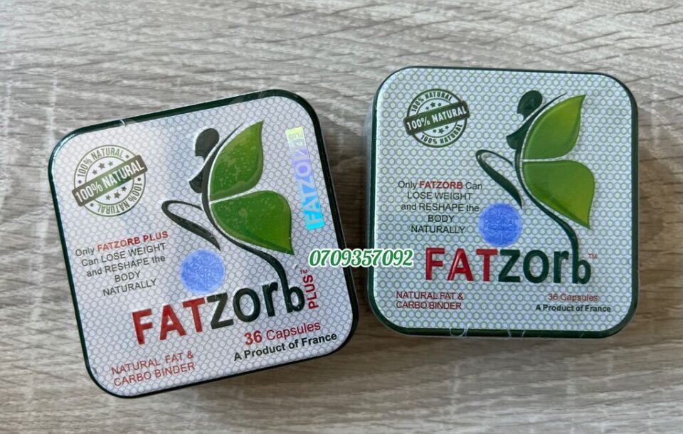 Recigar und Fatzorb