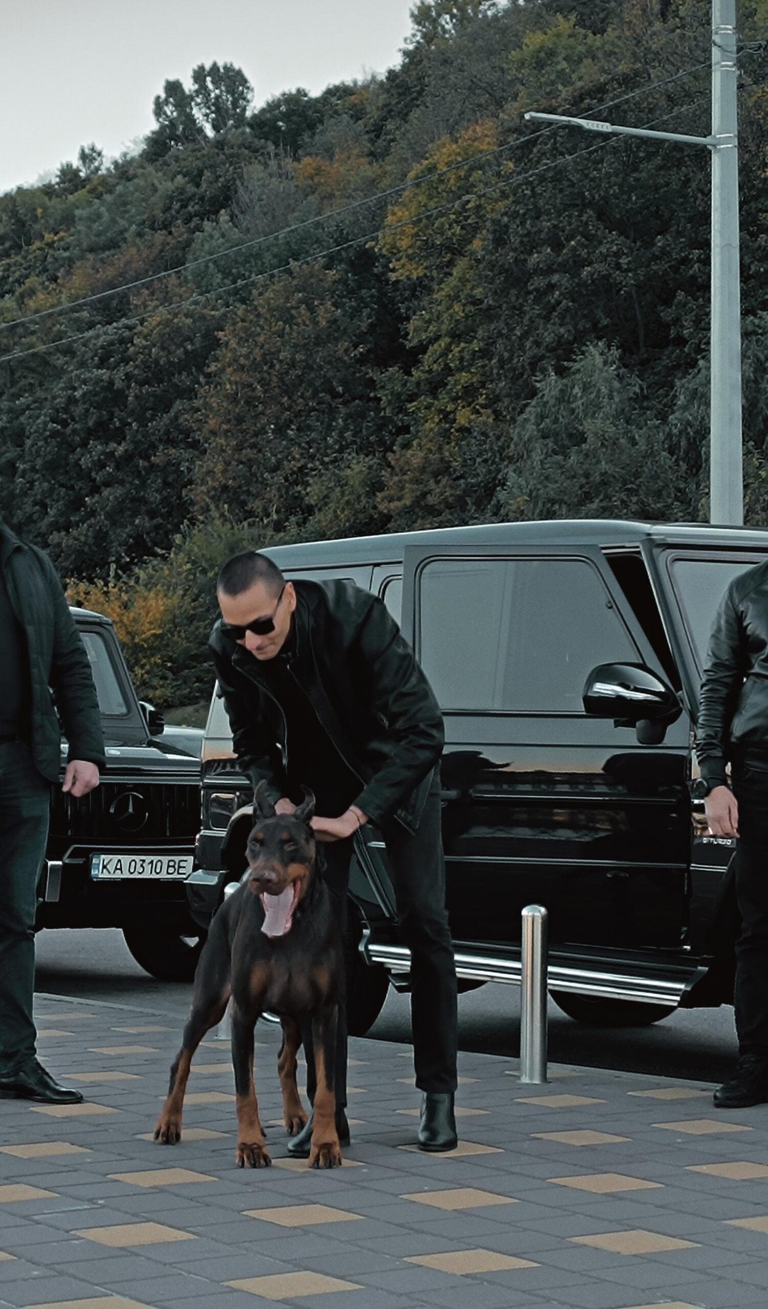 Umit Mogilevich
